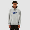 Sweat à capuche avec logo Harris - Gris