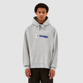 Sweat à capuche Harris Tool - Gris